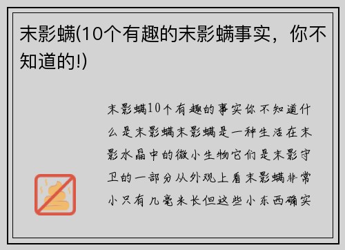 末影螨(10个有趣的末影螨事实，你不知道的!)